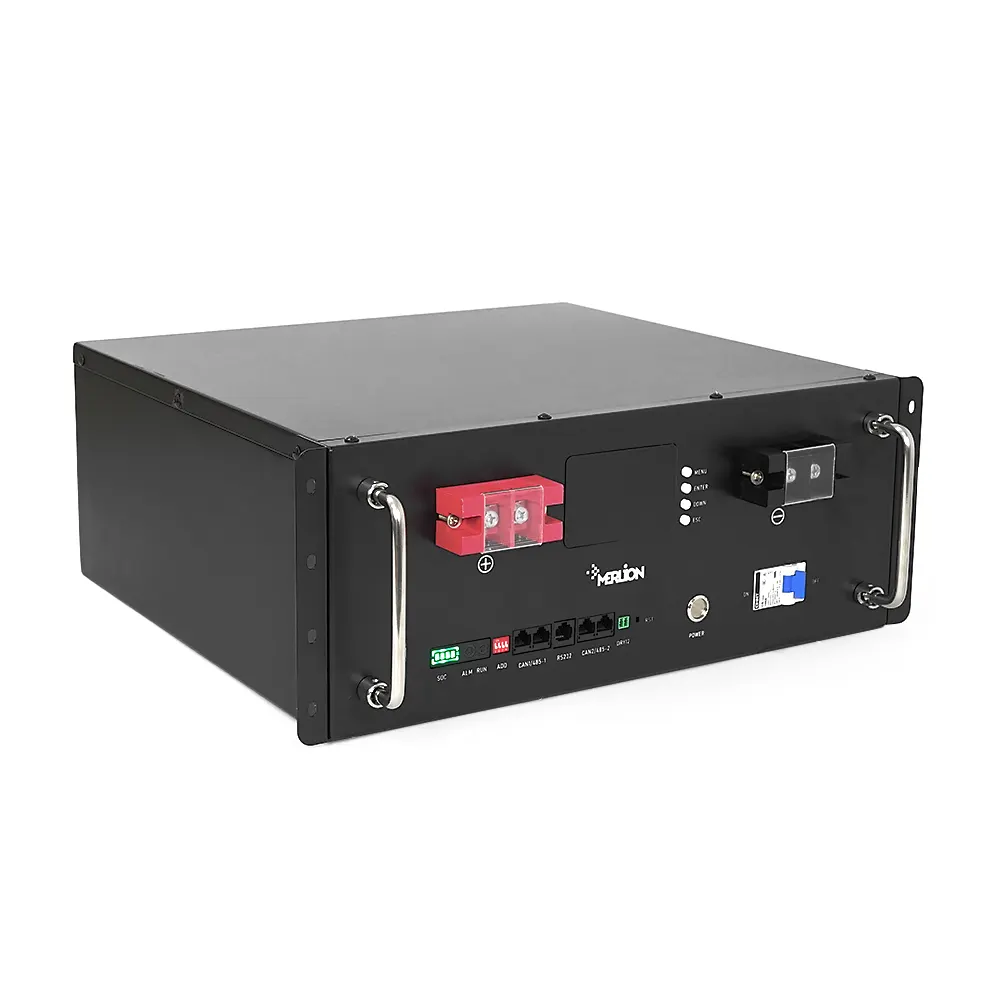 Літій-залізо-фосфатний акумулятор Merlion LiFePO4 51.2V 50AH для Solar (440х350х180) RACK MOUNT 50A BMS, 5000 циклів