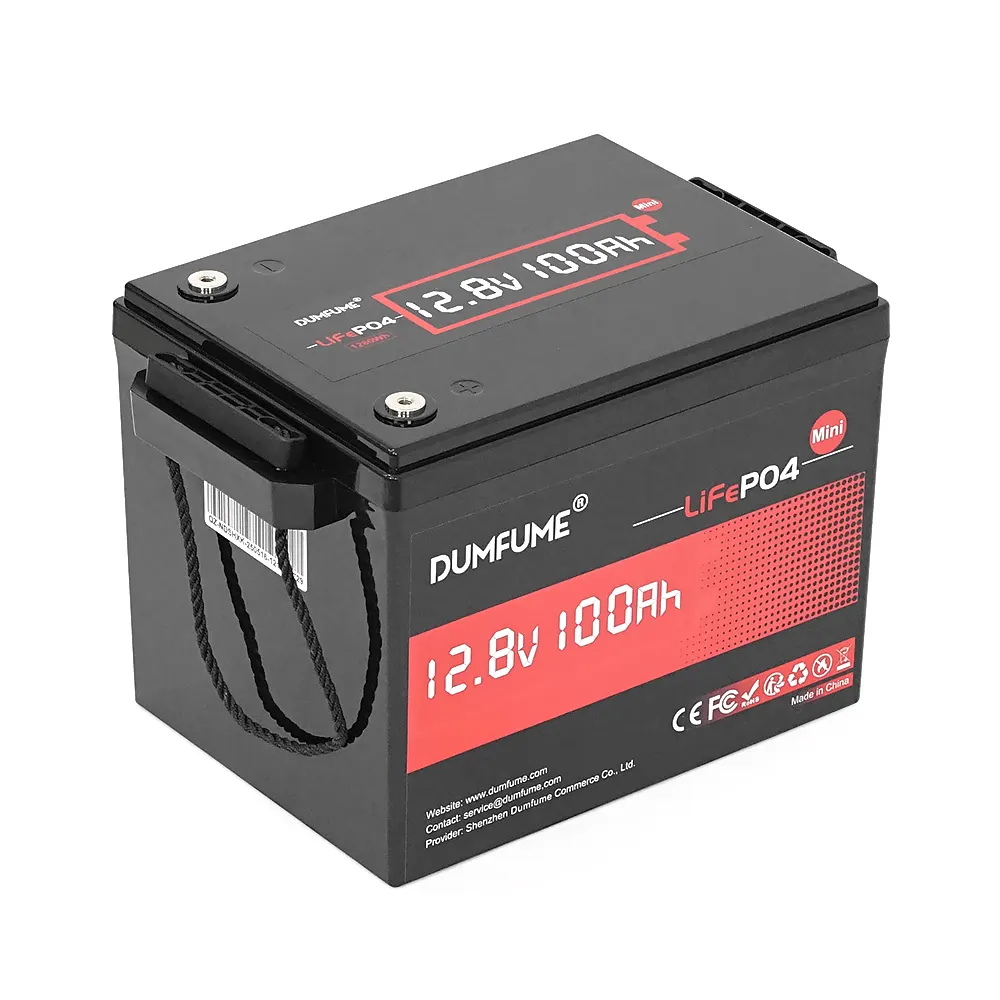 Акумуляторна батарея Dumfume MINI MAX LiFePO4 12,8V 100Ah 1280Wh, in10A / out20A, ( 150 x 95 x 85), 10kg